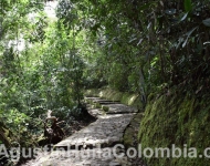 Parque-Arqueologico-San-Agustin-Huila-Colombia (17)